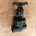 API602 1500lb Forged Steel A105 Thread NPT Gate Valve